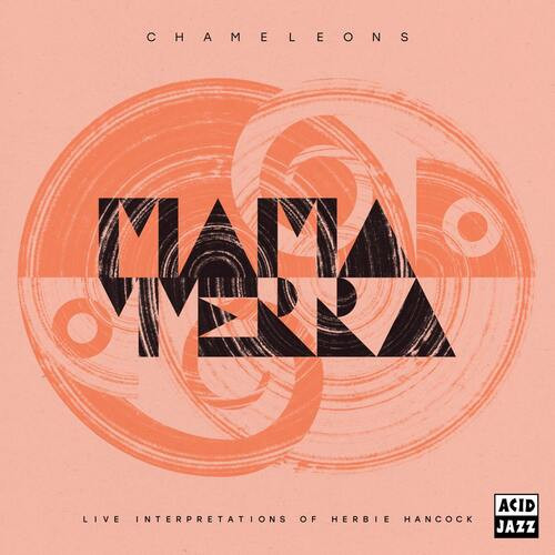 Mama terra chameleons live - mama,