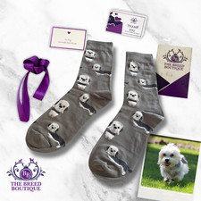 DANDIE DINMONT SOCKS UNISEX ONE SIZE FIT UK 5-11 EU 38-46 DANDIE DINMONT GIFT