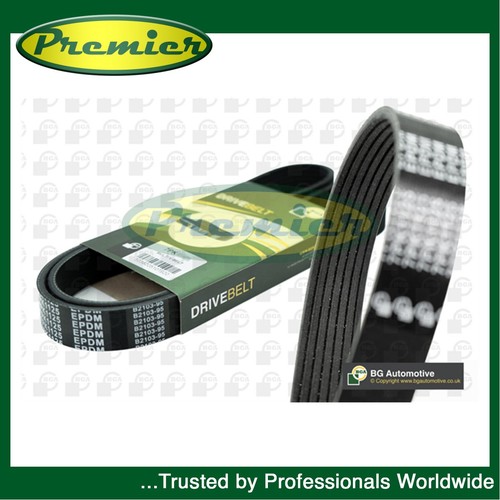 Premier drive belt fits - belt,