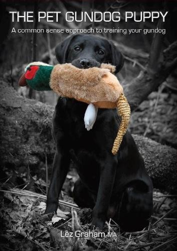 The pet gundog puppy common - puppy:, a