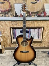 Washburn EA-20 Woodstock