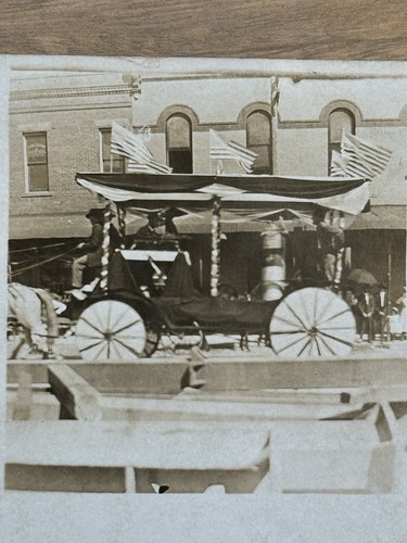 Antique horse drawn carriage - horse,