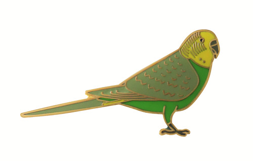 Budgerigar budgie parakeet - budgie,