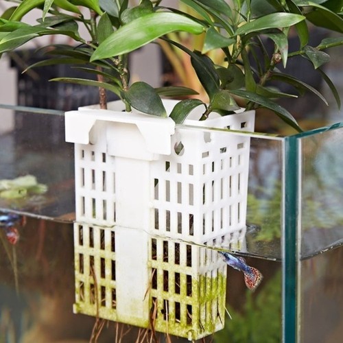 Wall hanging aquatic plant - hanging,