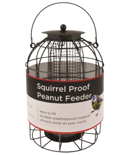 Bird peanut feeder - bird,