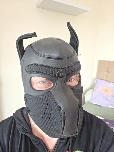 Pup mask full hood - full,