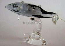 SWAROVSKI SCS YOUNG WHALE