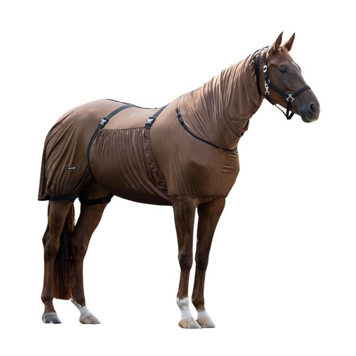 Qhp horse fly - qhp,