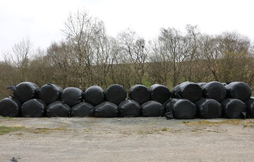 Photo 6x4 silage - photo,