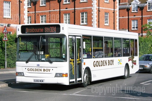 Bus photo golden - photo,