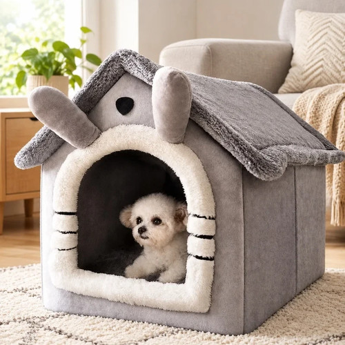 Pet cat kitten - kitten, beds