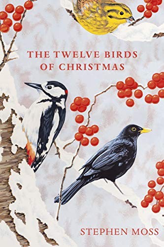 The twelve birds - twelve, christmas