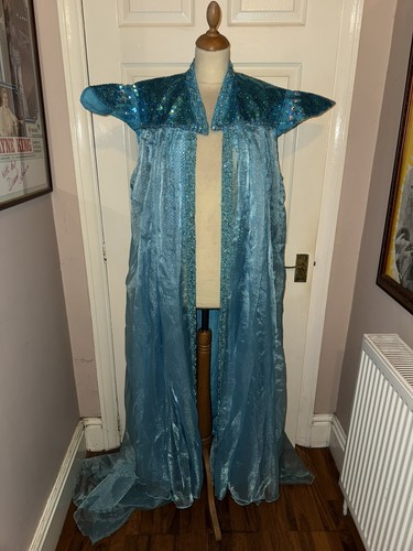Pantomime adult unisex costume - pantomime,