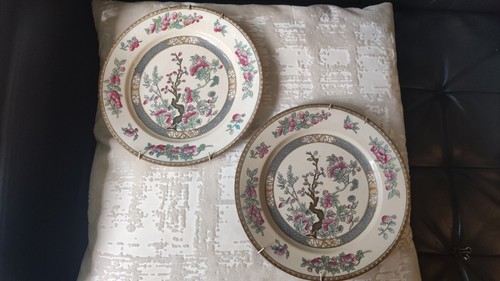 Wedgwood indian tree - wedgwood,