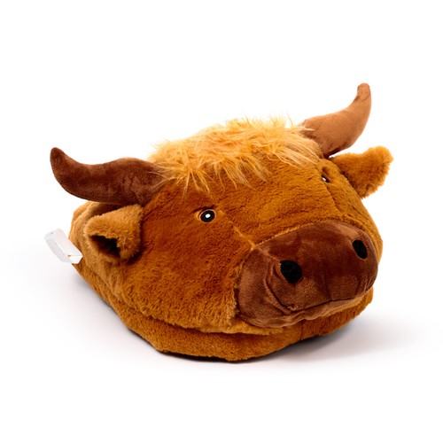 Highland coo cow - coo, giant