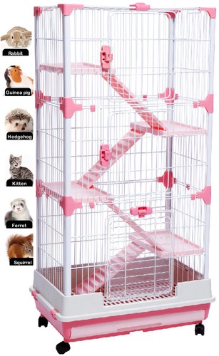 Inch floors indoor - 53-inch, guinea