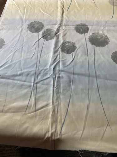 Metre dandelion - 2.30,