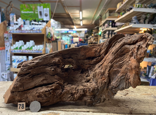 Medium natural bogwood - natural,