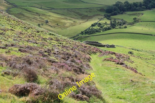 Photo 6x4 sheep - shelter, on