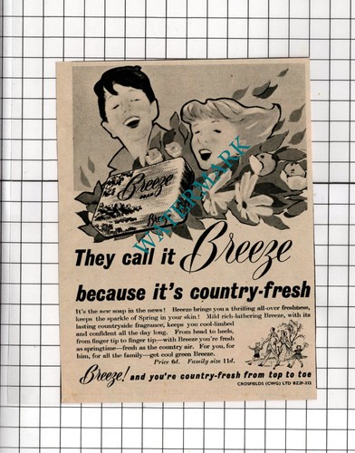 Breeze soap small - advert,