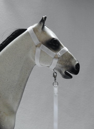 Scale halter head collar - 1:6,