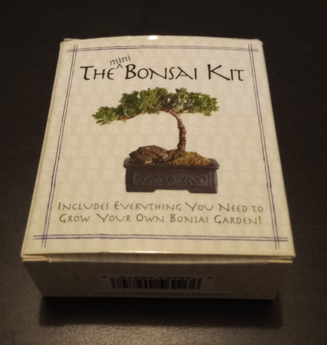 The mini bonsai - bonsai, kit