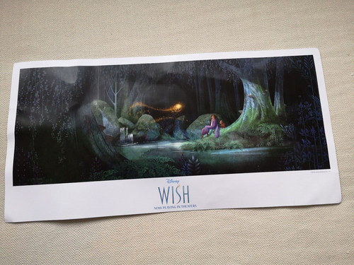 Disneyland 2023 exclusive wish - exclusive,