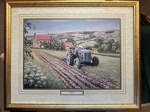 Ferguson te20 grey picture - grey,