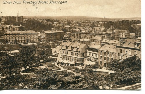 Stray from prospect - from, hotel