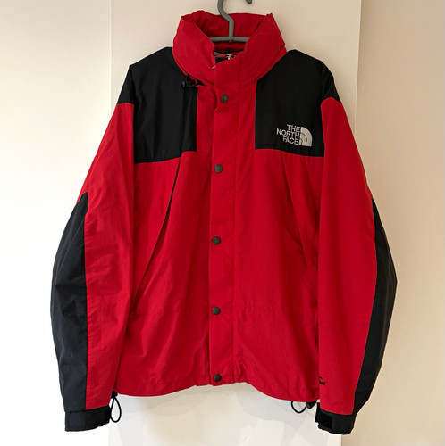 The north face men - north, gore-tex