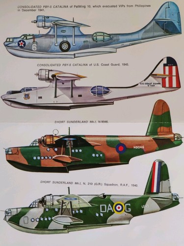 Esci decals g - esci, no.60