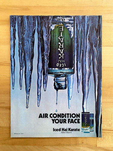 1973 print iced - hai, karate