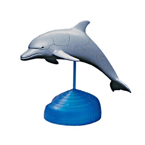 Dolphin sea life puzzle - 3d,