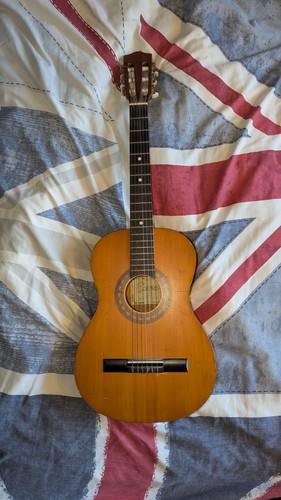 Vintage encore enc36n - vintage,