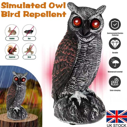 Solar owl decoy deterrent bird - owl,