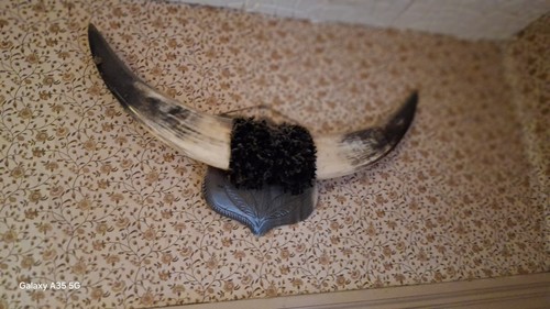 Antique vintage buffalo - antique,