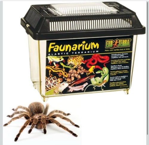 Exo terra faunarium - exo,