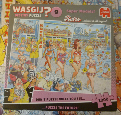 Wasgij destiny jigsaw - destiny,
