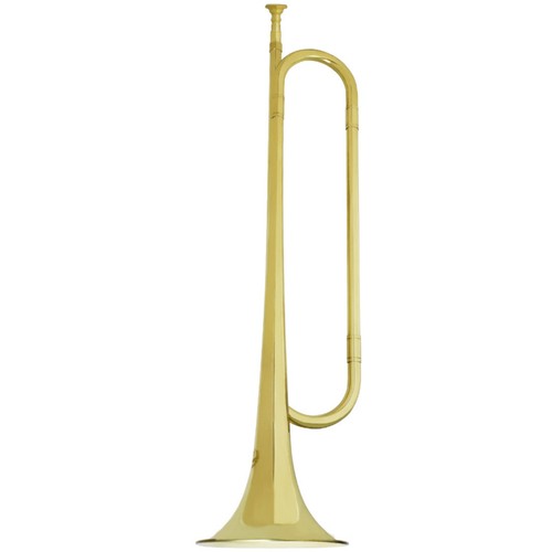 Young musician instrument - young,