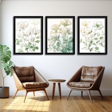 Botanical Illustration Art
