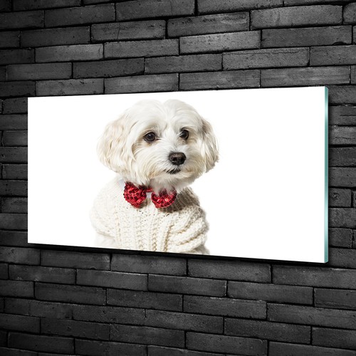 Tulup glass print wall art - tulup,