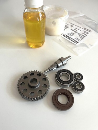 Eccentric gear armature pinion - eccentric,
