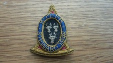 1948 ORIGINAL ROYAL MASONIC INSTITUTE FOR BOYS STEWARD BROCADE PIN BADGE