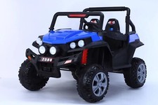 LARGE 2 SEATER BEACH BUGGY