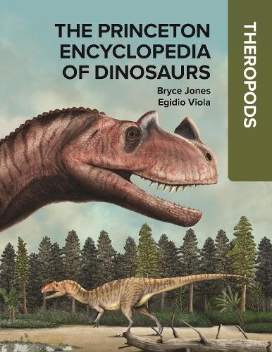 The princeton encyclopedia - princeton, of