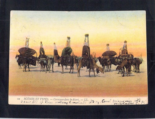 I7638 algeria camel - i7638,