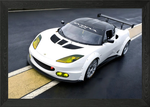 Lotus evora framed wall - lotus,