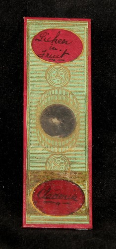 Collectable microscope slide - collectable,