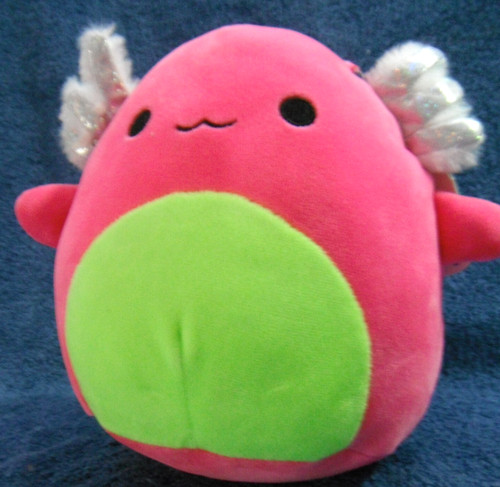 2423 squishmallows archie - squishmallows,