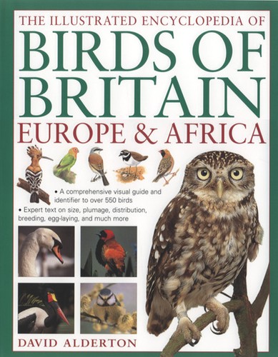 The illustrated encyclopedia